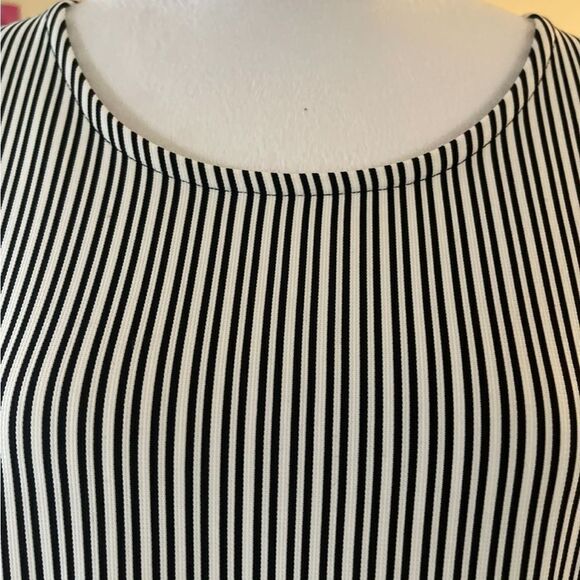 NWT STRIPED VARIOUS WAYS FLATTERING ON EVERYONE DRESS PAST KNEES 1X FITS LIKE LG - Picture 5 of 13